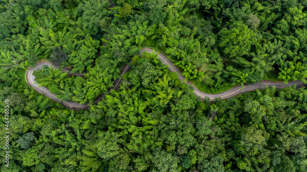 Aerial top view rural road in the forest, dirt road or mud road and rain forest, Aerial view road in