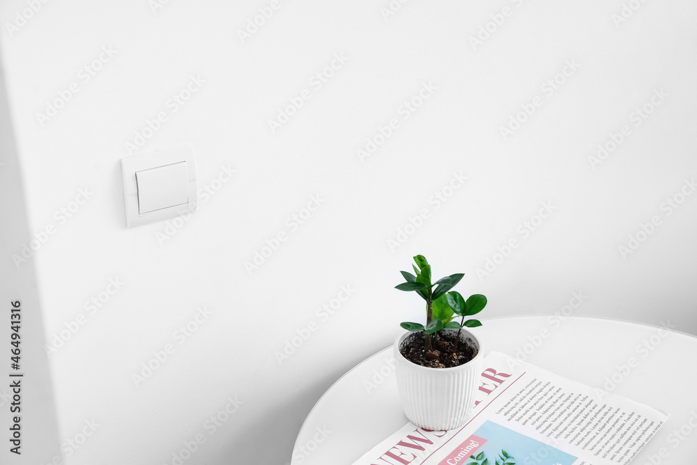 Table with flowerpot and newspaper near white wall