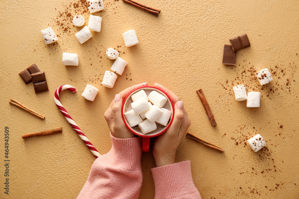 Female hands with cup of cacao, marshmallows, cinnamon and chocolate on color background