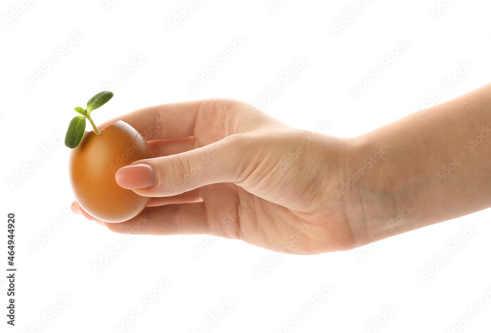 Woman holding green seedling in eggshell on white background