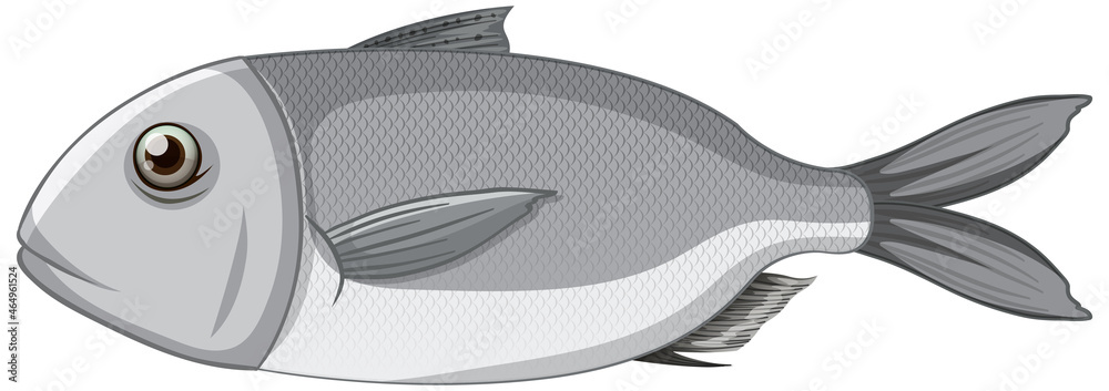 Simple fish cartoon style isolated