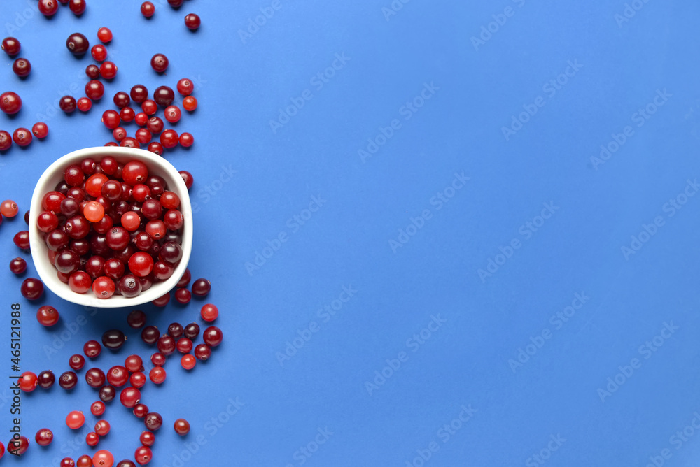 Bowl with tasty fresh cranberries on color background