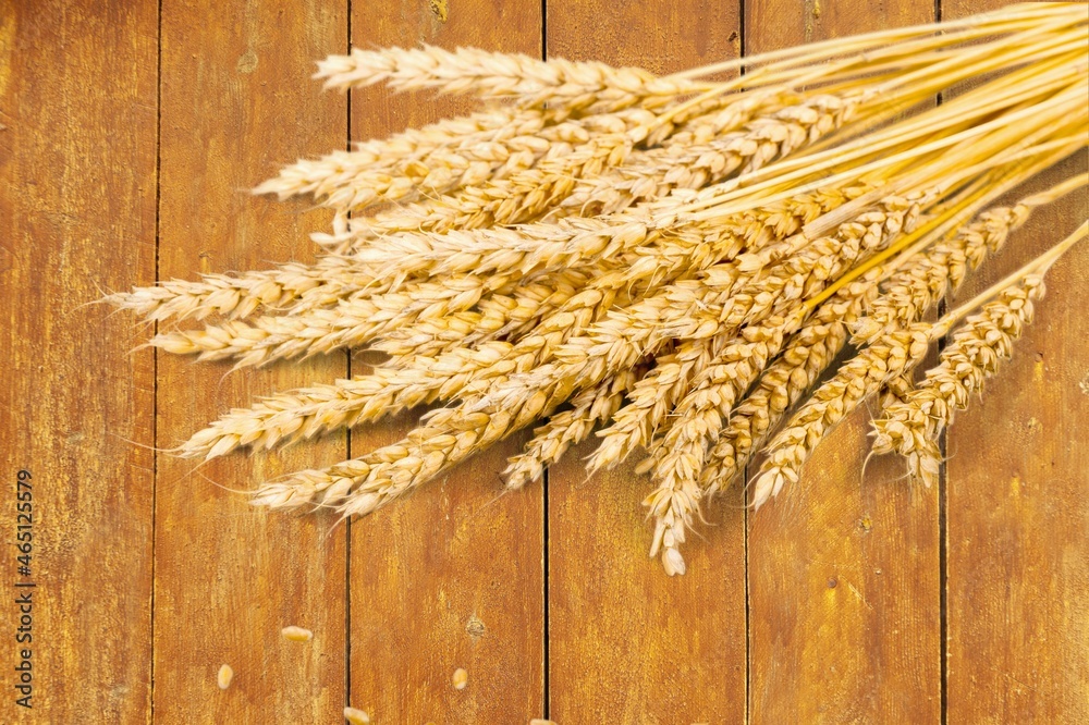 Pile of wheat spikelets on light background