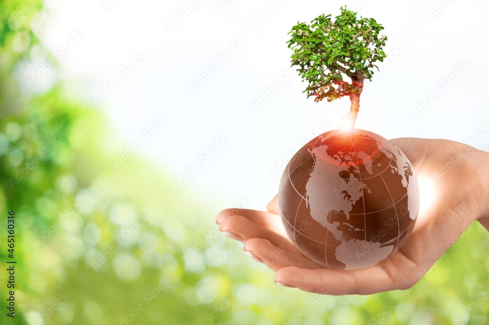 World Earth Day, glass globe ball and tree in human hand