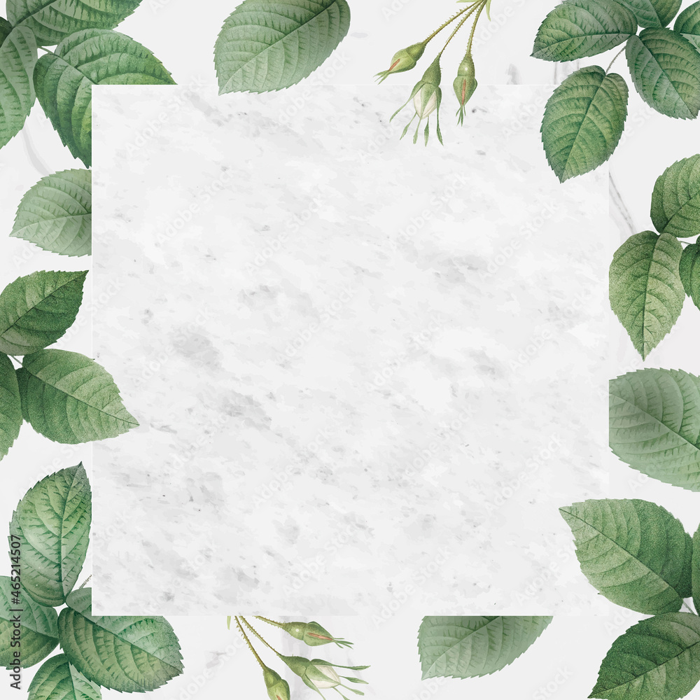 Green foliage pattern frame vector