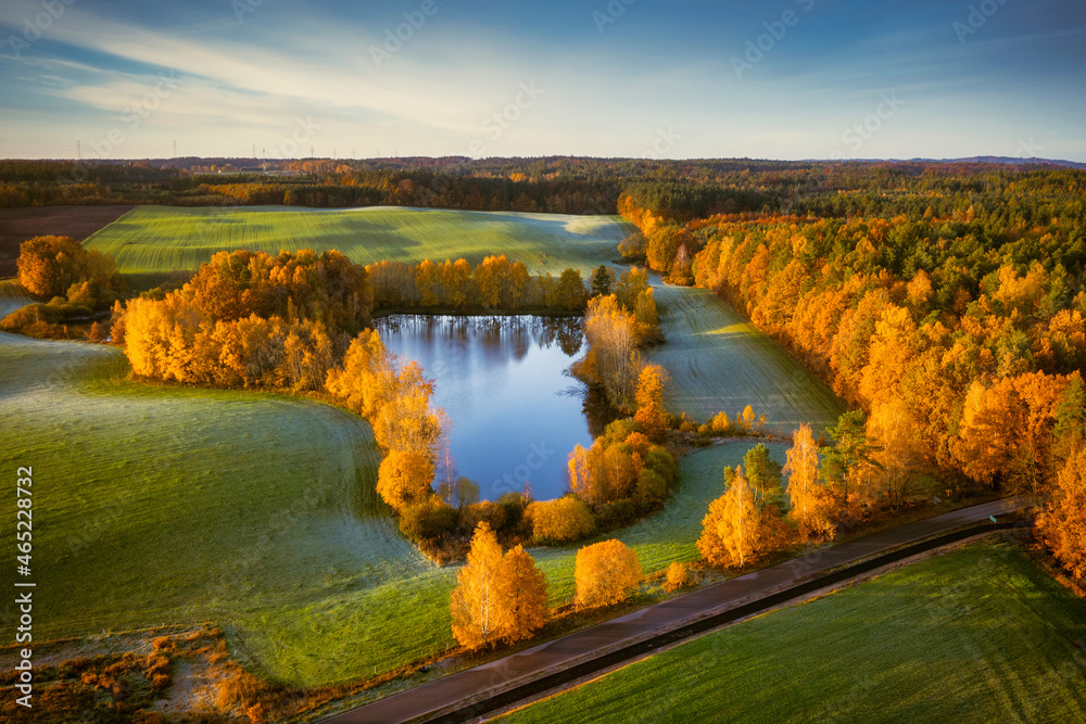 Autumnal landscape of Kashubian forests at sunrise. Poland