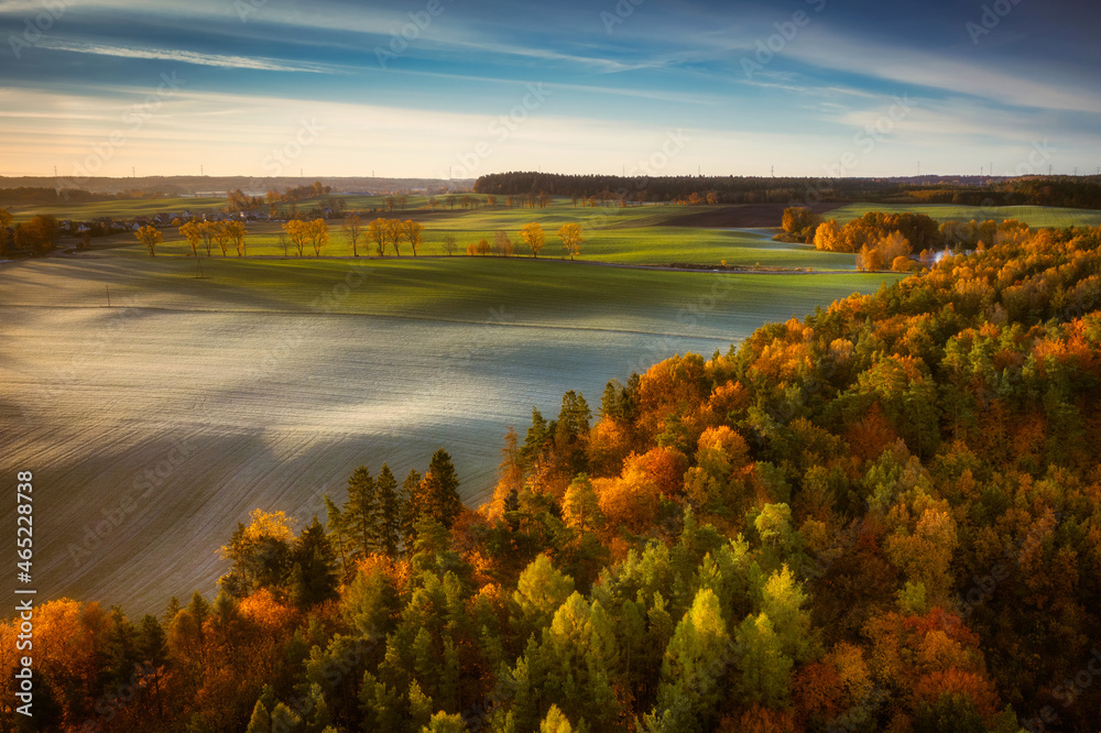 Autumnal landscape of Kashubian forests at sunrise. Poland