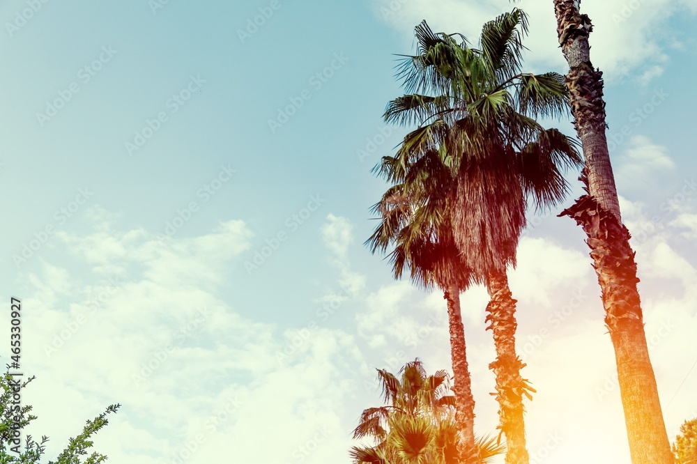 Beautiful summer landscapes on the tropical beach