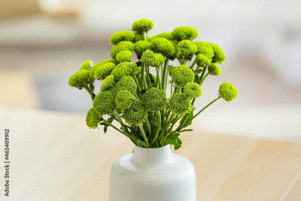 Vase with beautiful green chrysanthemum flowers, closeup