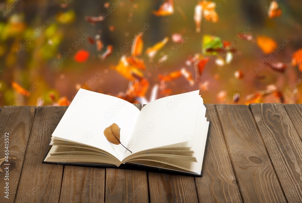 Open book on autumn park background with autumn fallen leaves on it.