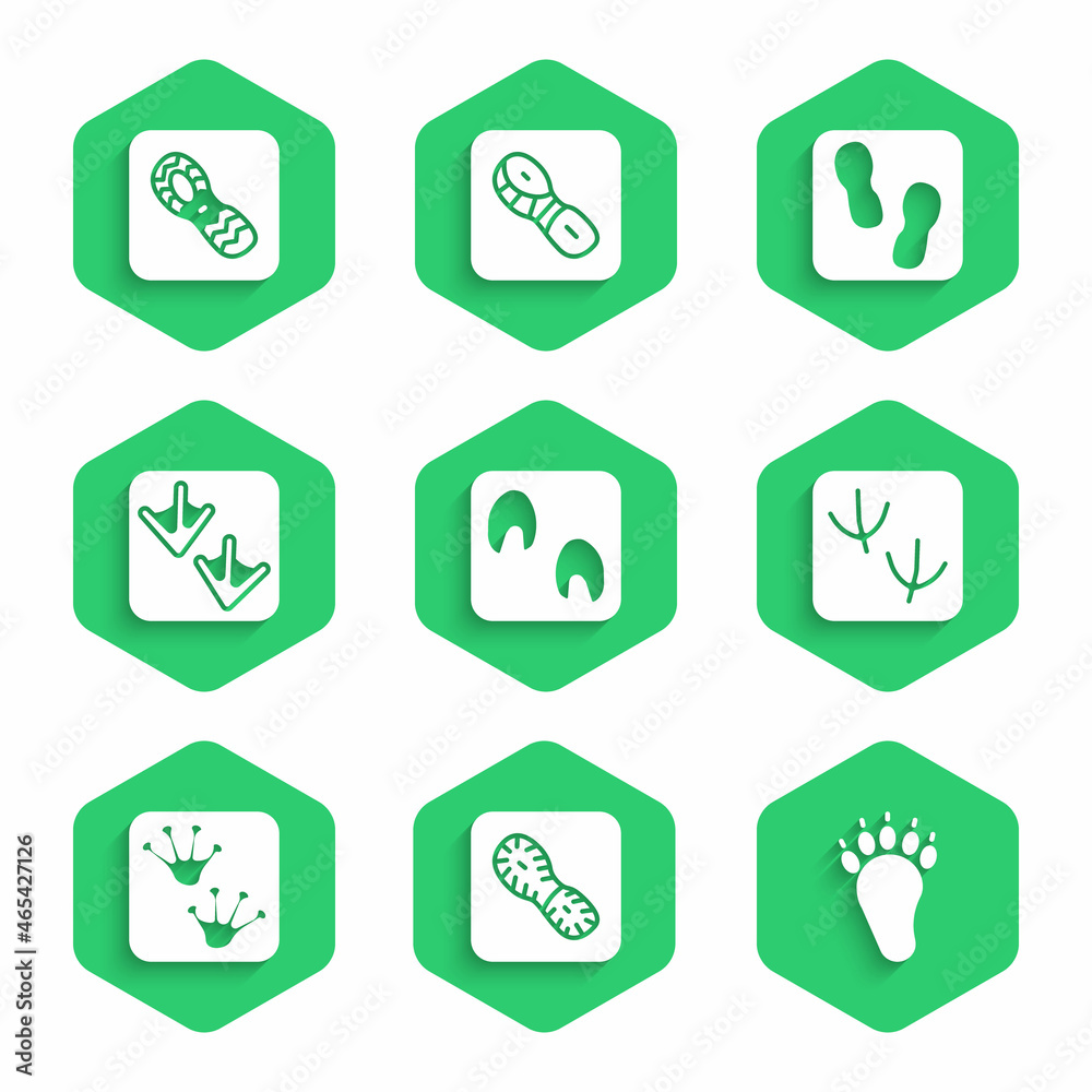 Set Horse paw footprint, Human footprints shoes, Bear, Dove, Frog, Goose, and icon. Vector