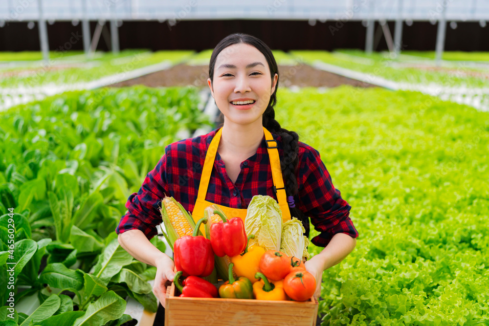 亚洲小企业主温室水培农场企业主手持新鲜蔬菜收割机