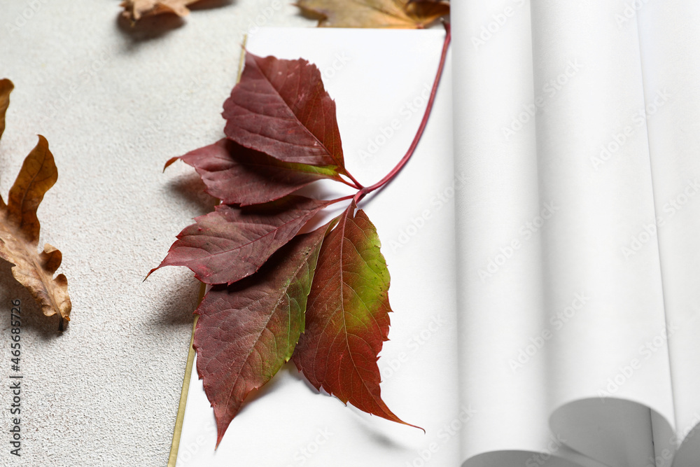 Blank book with curved pages and autumn leaves on light background, closeup