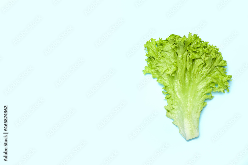 Leaf of fresh lettuce on blue background