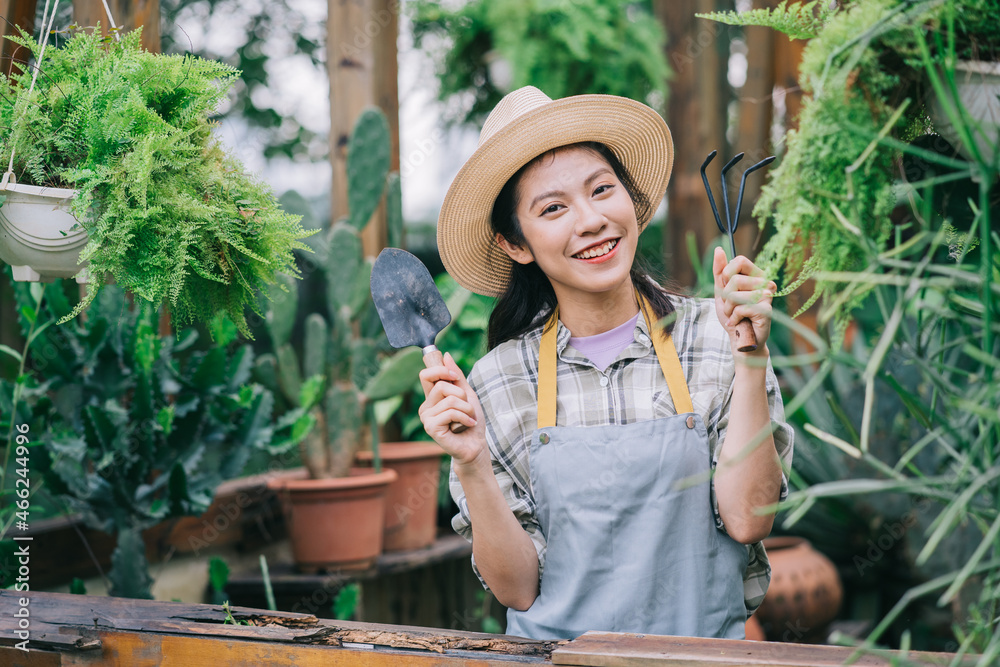 Young Asian woman takes care of the garden