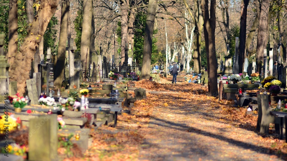 Historic cemetery. Tombstones and trees at the old cemetery. All Saints Day.