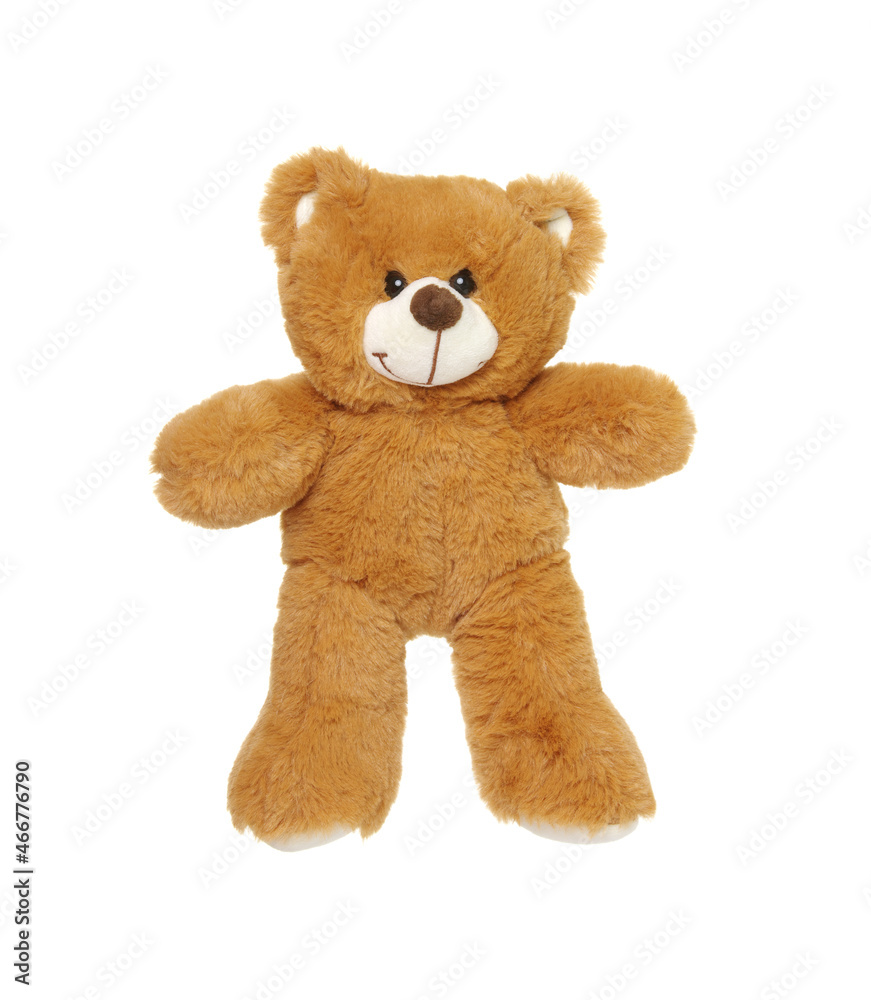 Teddy bear isolated on white