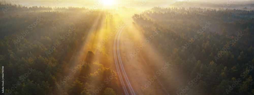 Railway in the summer morning forest at dawn.