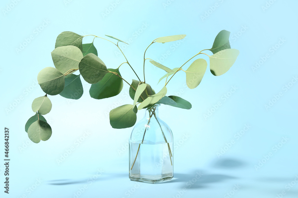 Vase with eucalyptus branches on color background