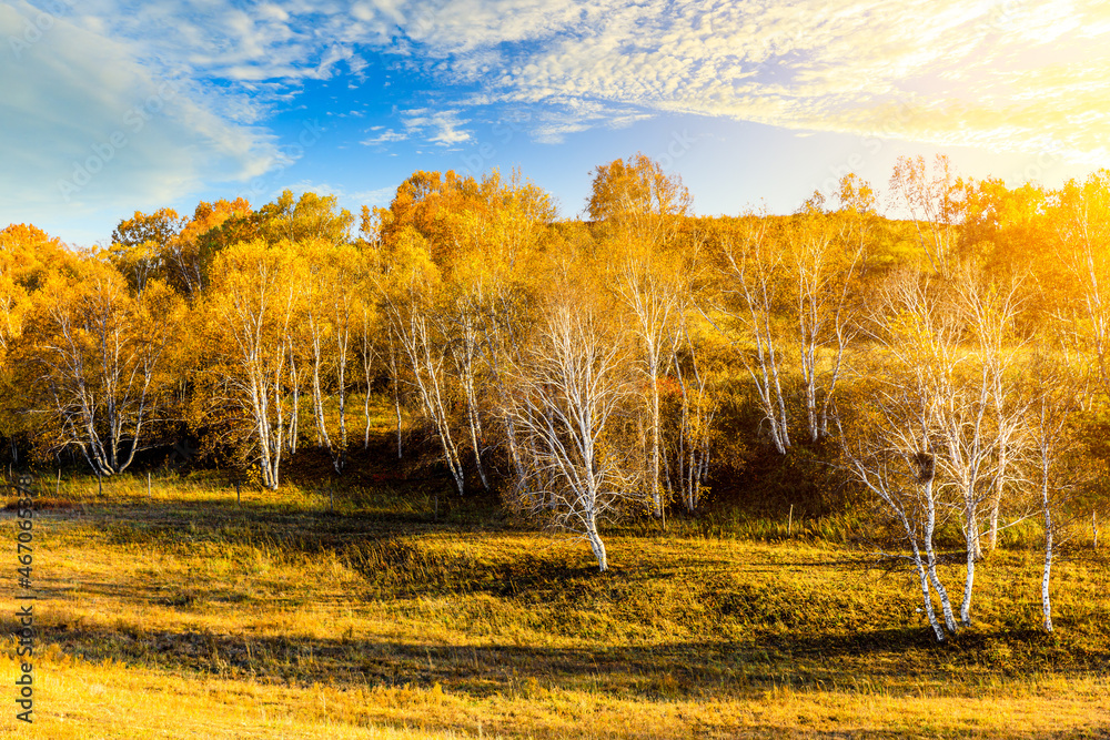 Colorful forest and mountain natural landscape in autumn.Beautiful autumn scenery in the Ulan Butong