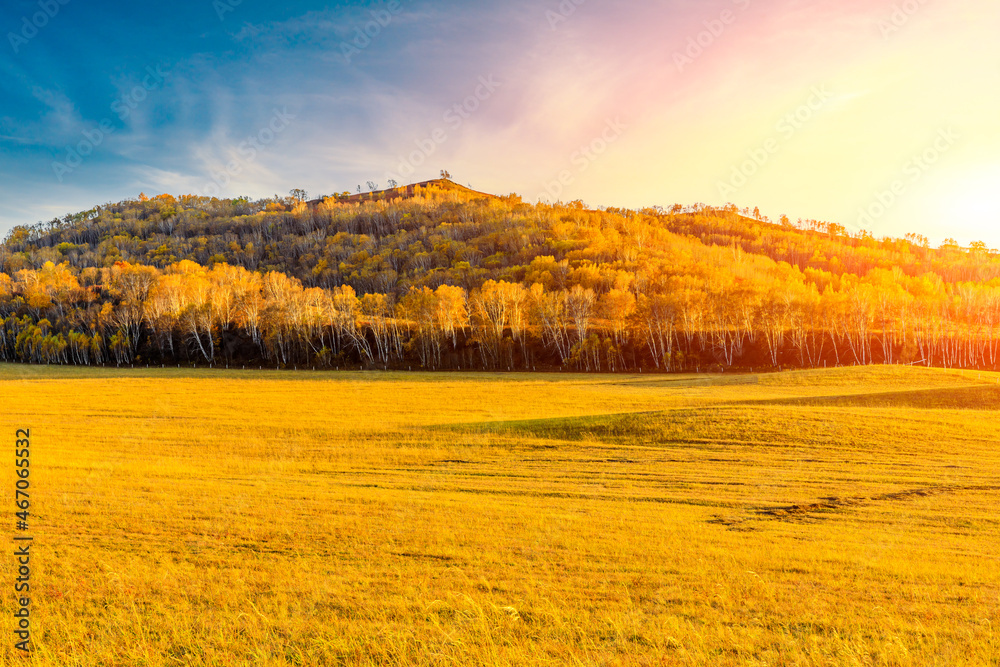 Yellow grass and mountain with forest natural landscape in autumn.Beautiful autumn scenery in the Ul