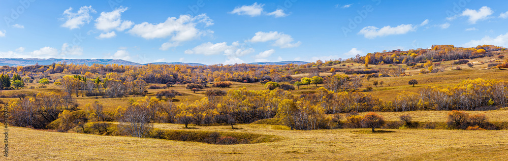 Beautiful mountain and forest natural landscape in autumn.Beautiful autumn scenery in the Wulan Buto