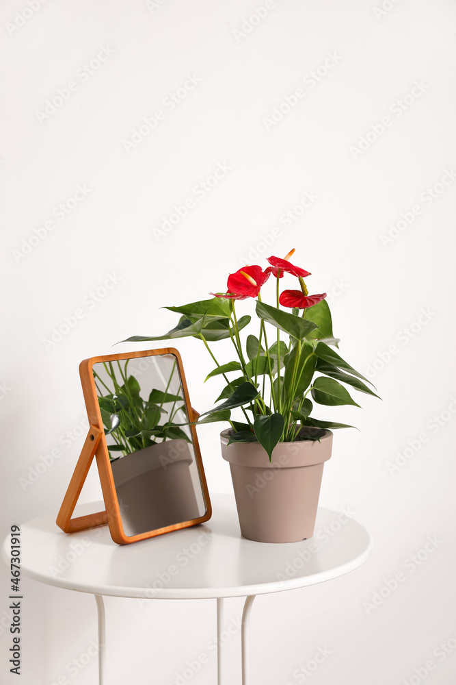 Mirror and Anthurium flower in pot on table near white wall