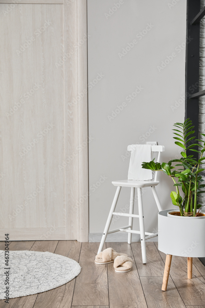 Chair and houseplant in modern room