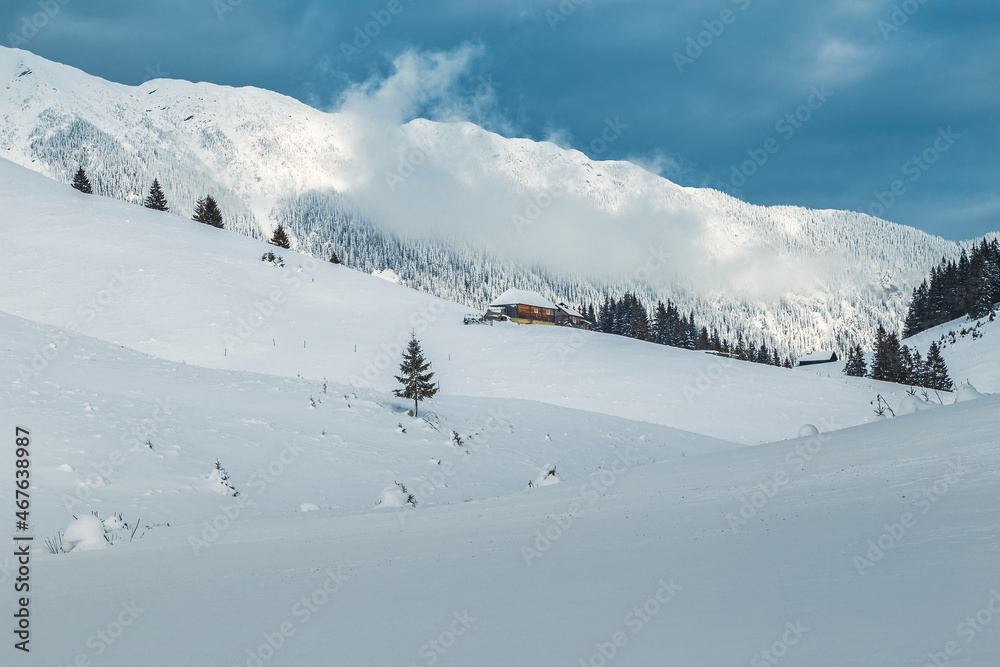 罗马尼亚喀尔巴阡山脉高雪岭的冬季景观