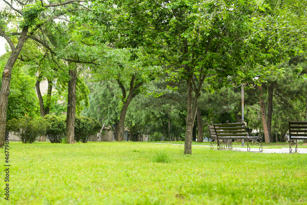 美丽城市公园全景