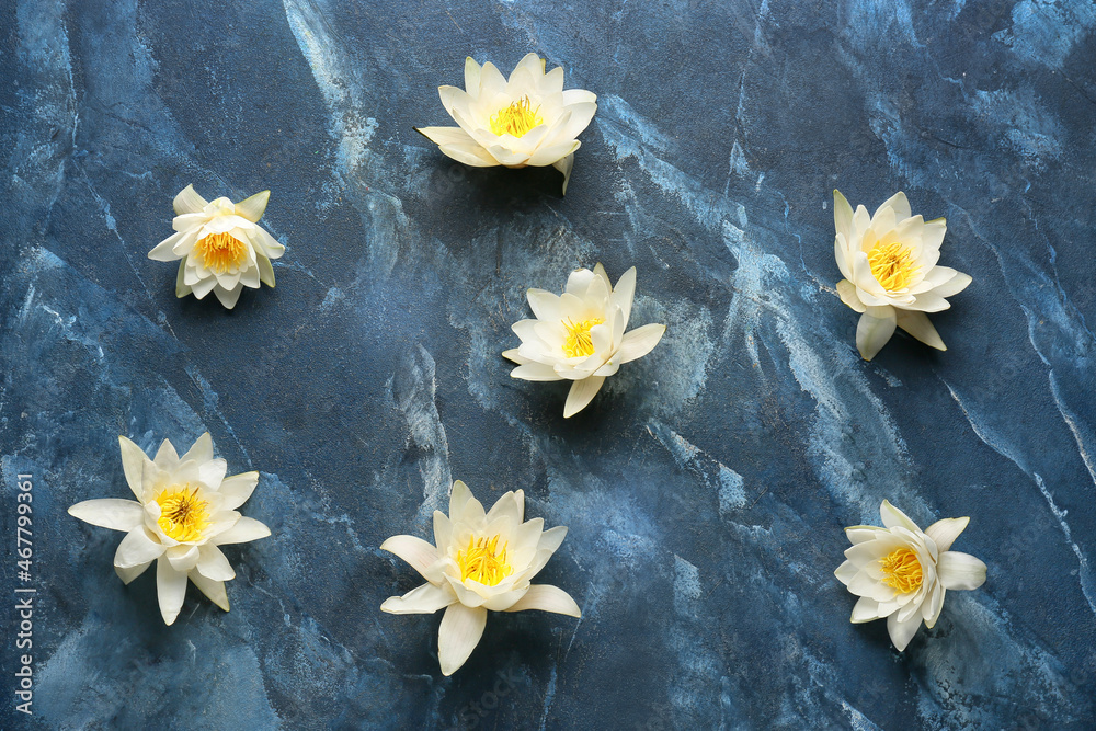 Beautiful white lotus flowers scattered on color background