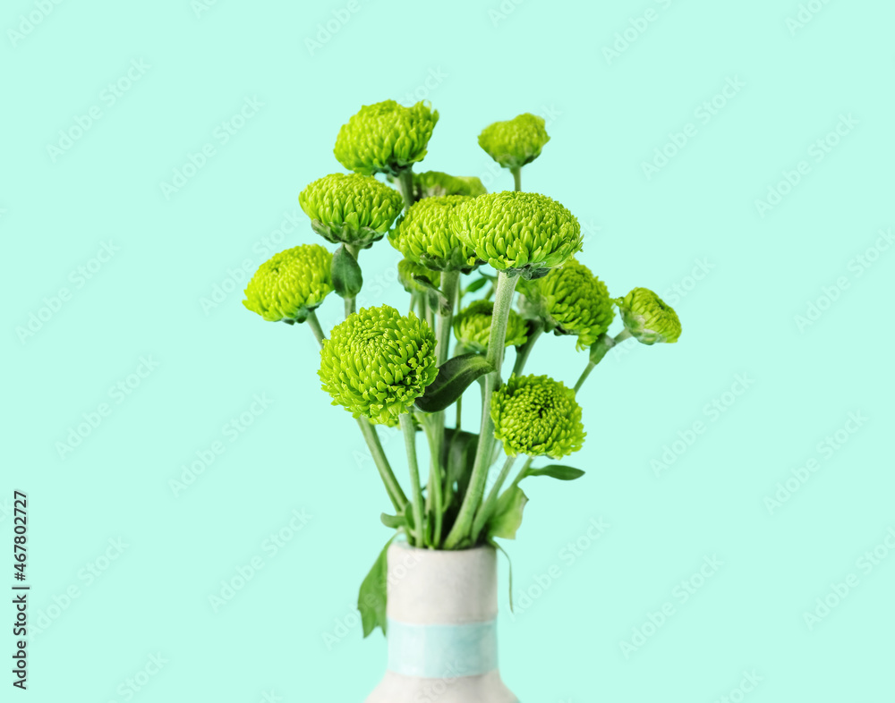 Vase with green chrysanthemum flowers on color background, closeup