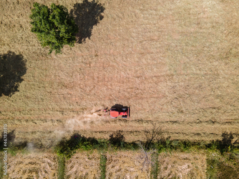 Aerial view of tractor harvesting pangola grass using mechanical devices, animal feed