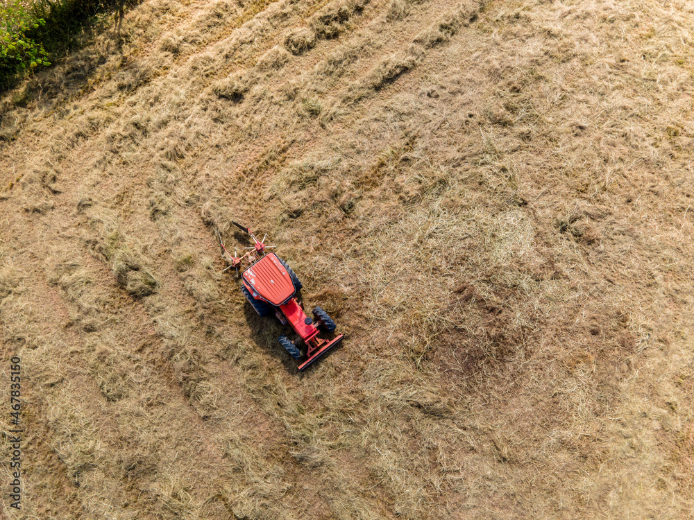 Aerial view of Agriculture tractor harvesting pangola grass in farm, animal feed