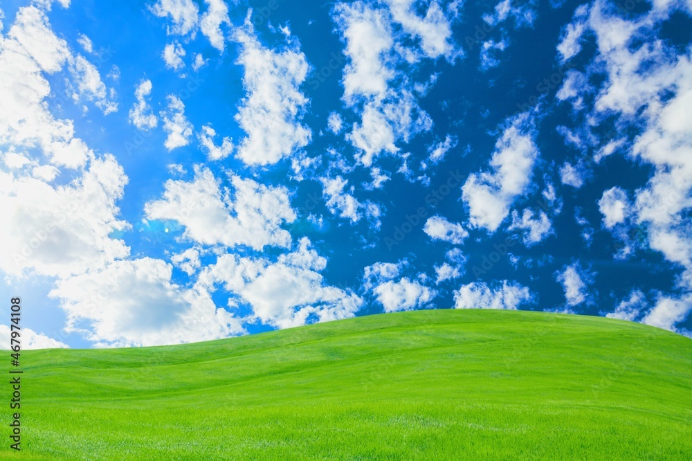 Green meadows with blue sky and white clouds background.