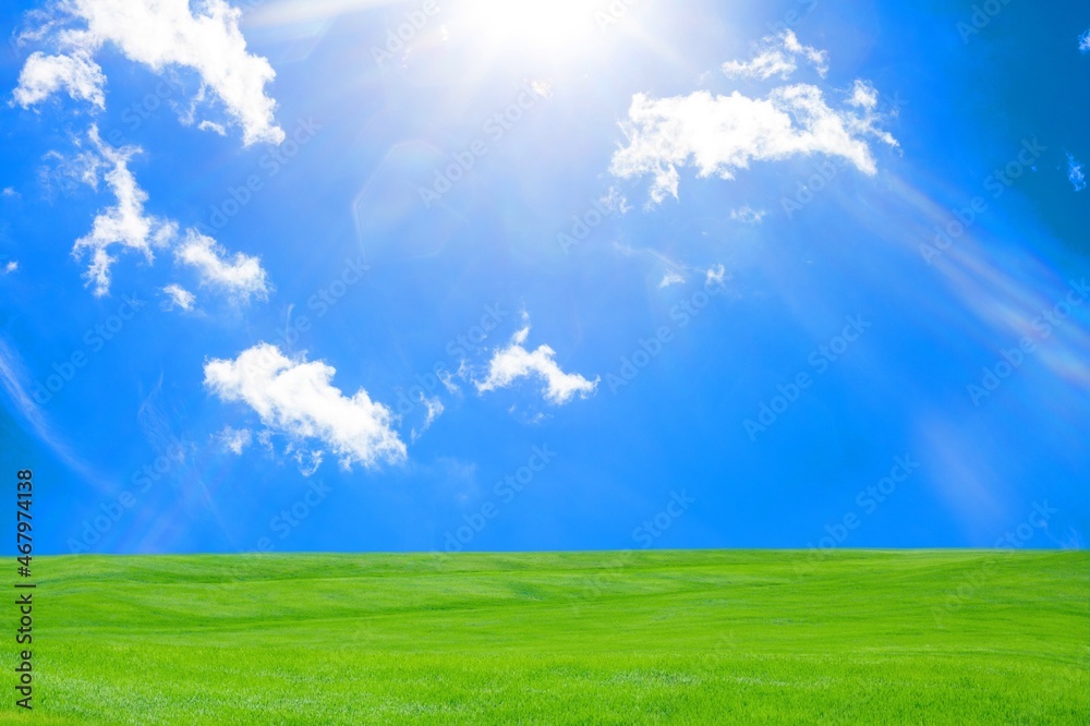 Green meadows with blue sky and white clouds background.