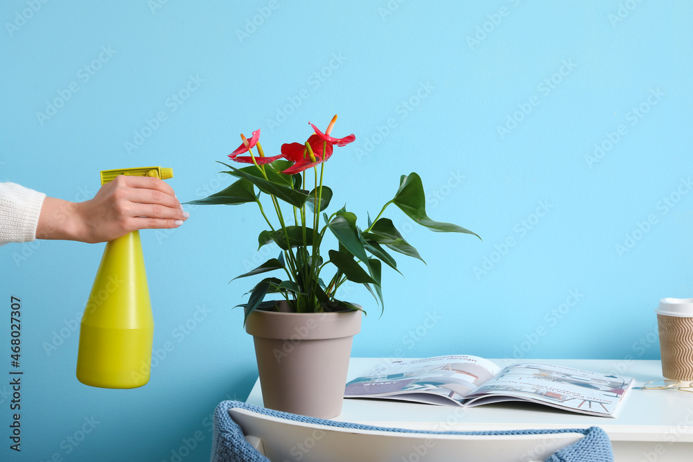 女人在彩色墙附近的花托上喷水，特写