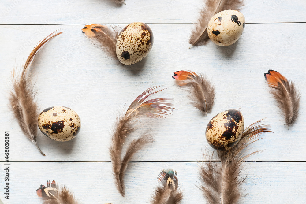 Beautiful pheasant feathers and eggs on white wooden background