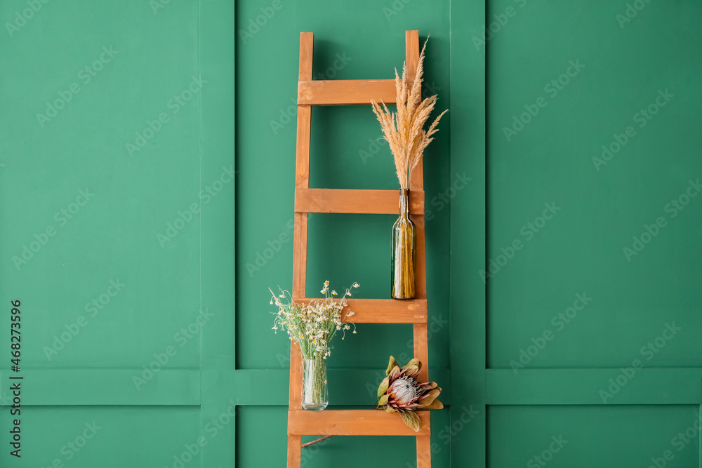 Vases with different dried flowers on ladder near color wall