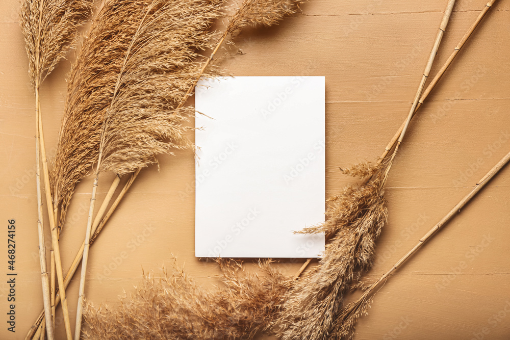 Dry common reeds and blank card on color wooden background