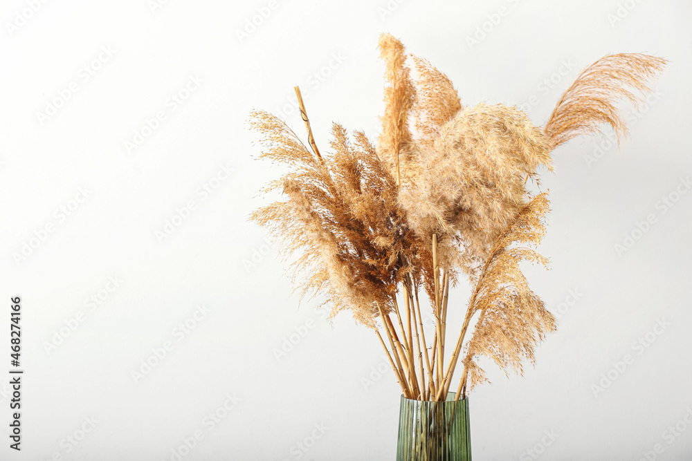 白色背景上有美丽干燥芦苇的花瓶，特写