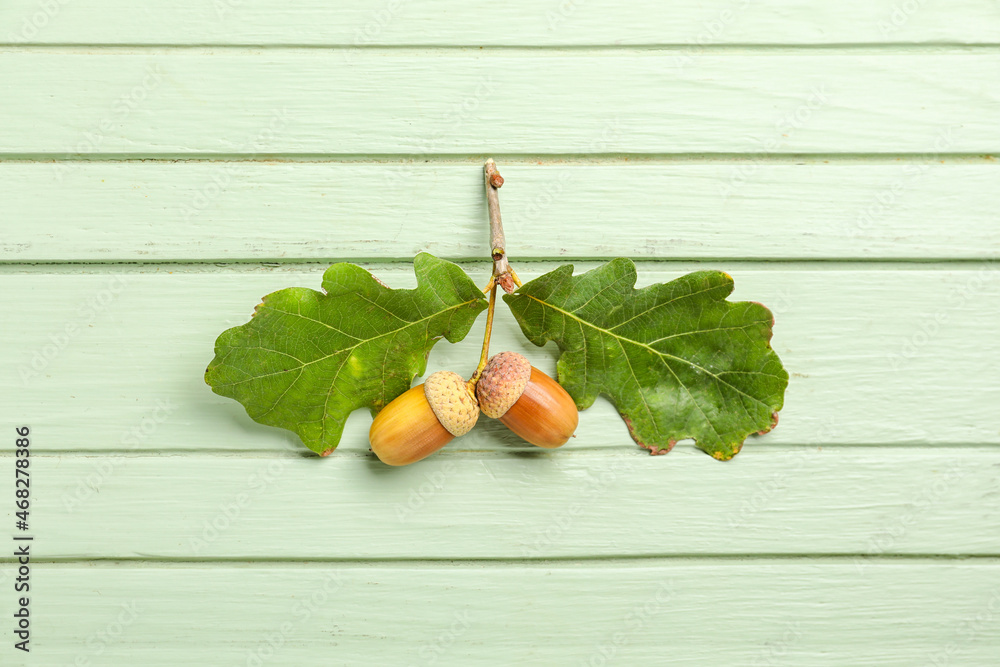 Branch with green leaves and acorns on color wooden background