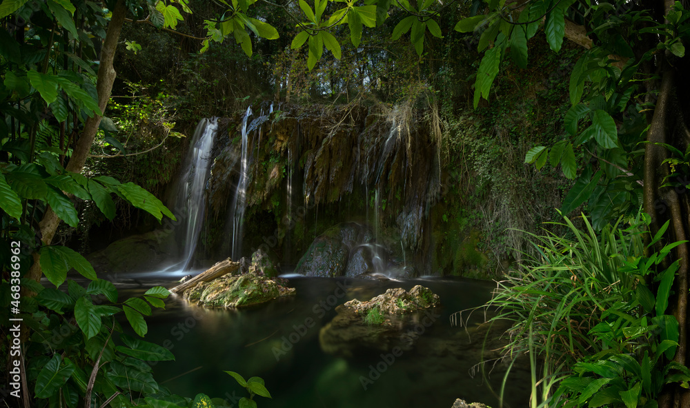 Tropical jungles of Southeast Asia