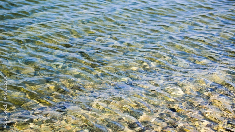 浅水中的鹅卵石