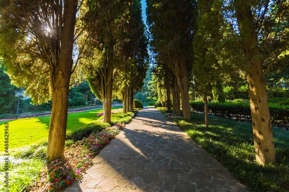 defocused bokeh background of garden with blossoming trees in sunny day, backdrop