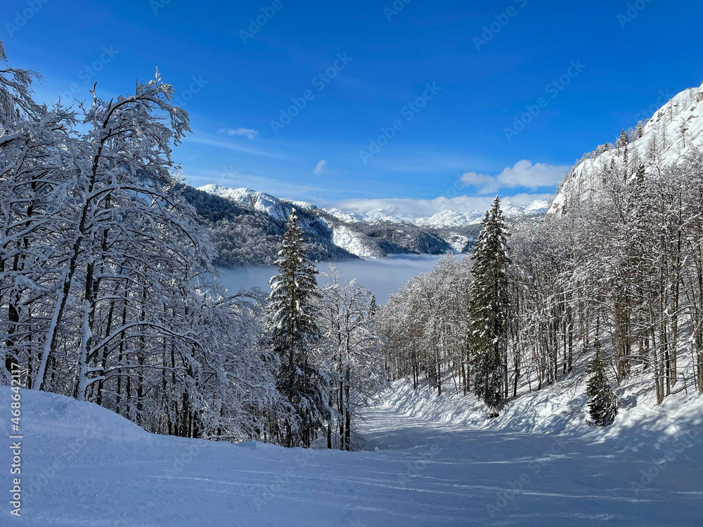 空旷整洁的滑雪场斜坡穿过朱利安阿尔卑斯山的冬季森林