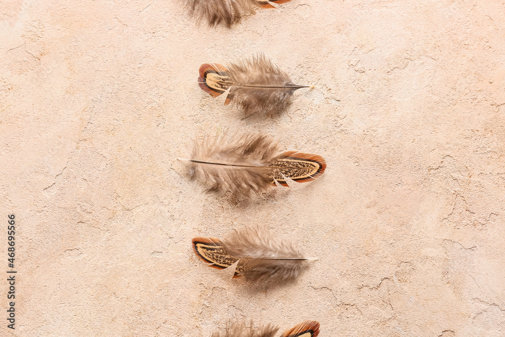 Beautiful pheasant feathers on beige background