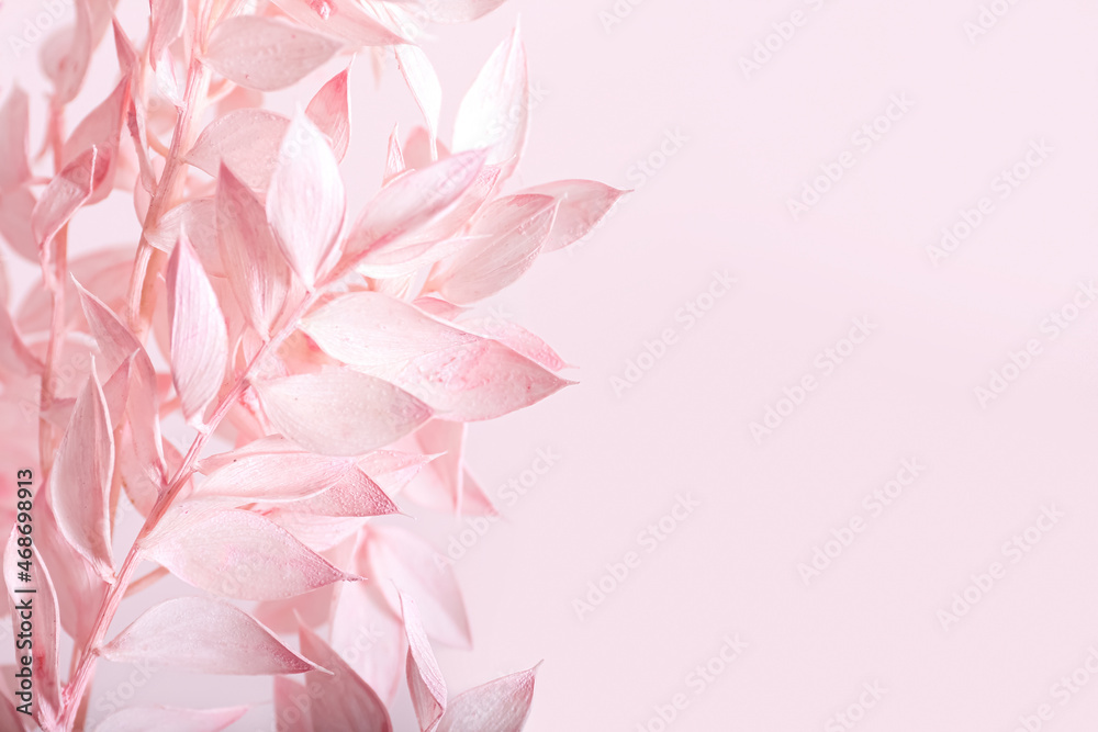 Beautiful dried branch on light background, closeup