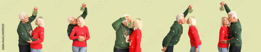 Mature couple in Christmas clothes and with mistletoe branch on color background