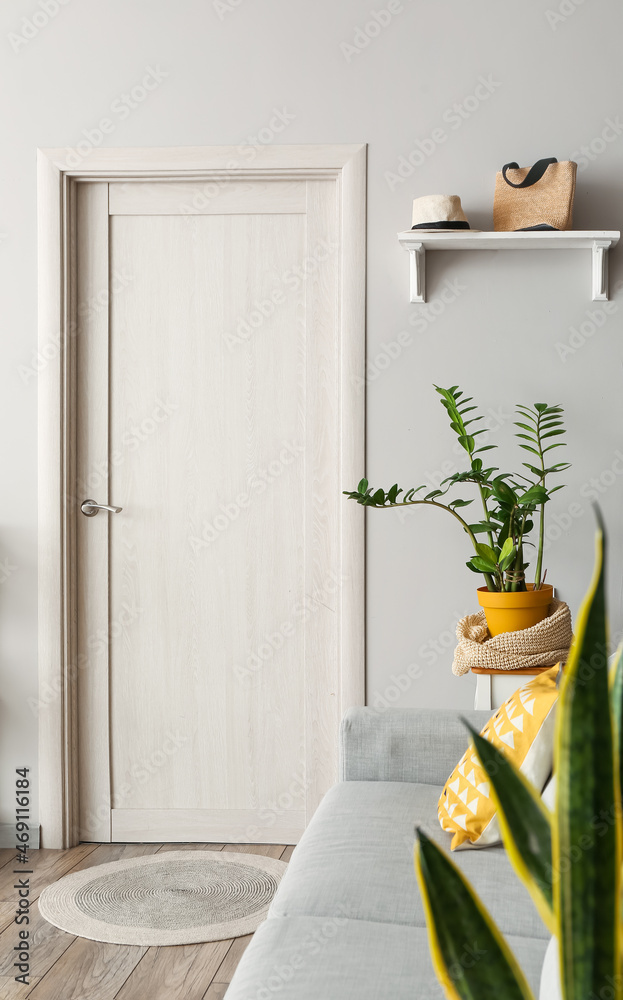 Comfortable sofa and houseplants near door in hallway